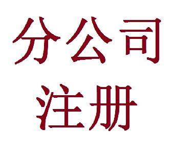 鄭州金水區(qū)注冊(cè)分公司需要什么，玖之匯告訴你