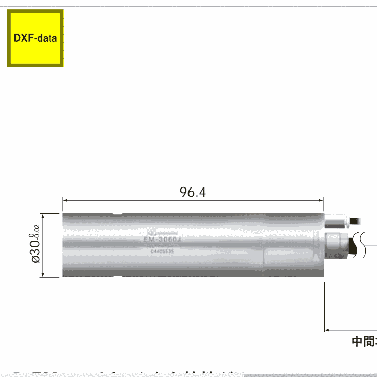 日本NAKANISHI電動(dòng)馬達(dá)EM-3060J 電機(jī)