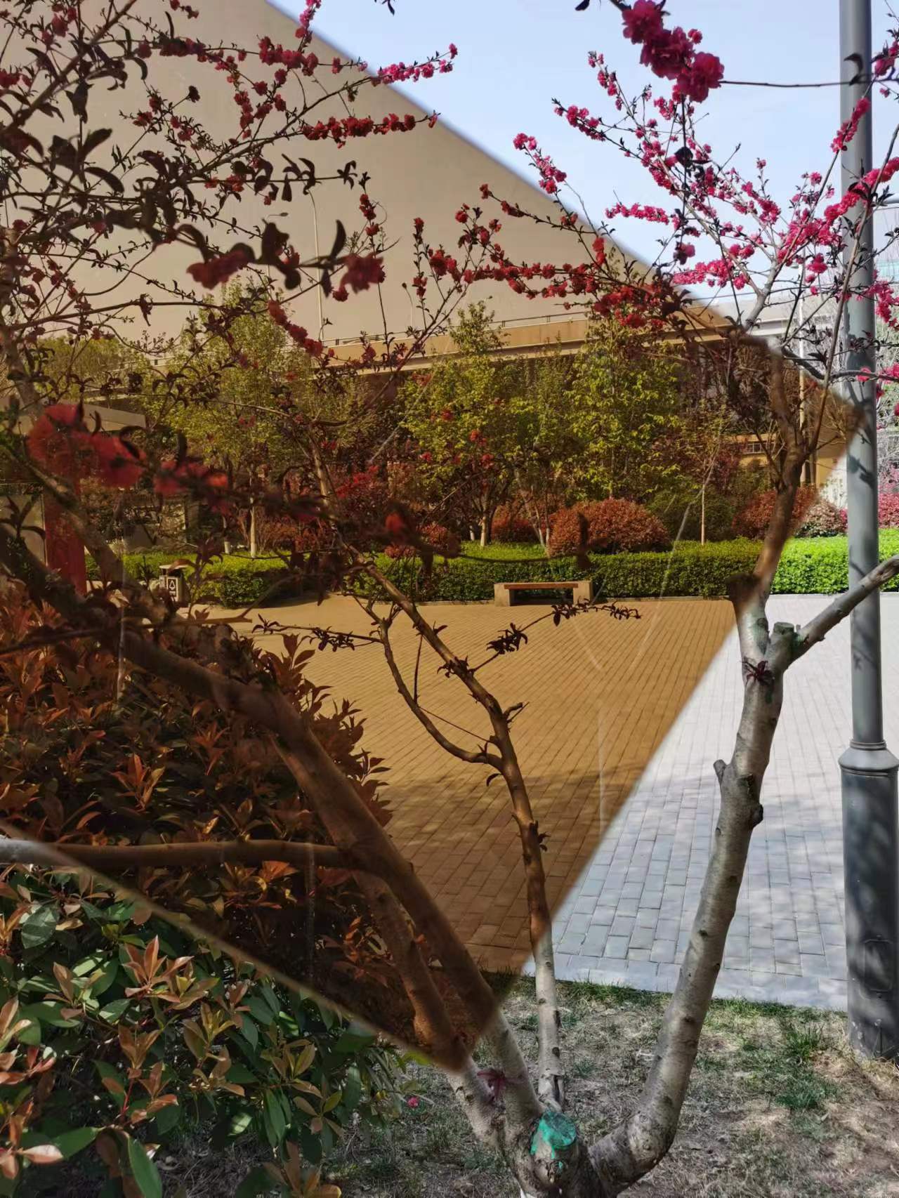 蘭代爾廠家山東德州慶云耐力板支持定制規(guī)格齊全耐力板廠家12mm耐力板