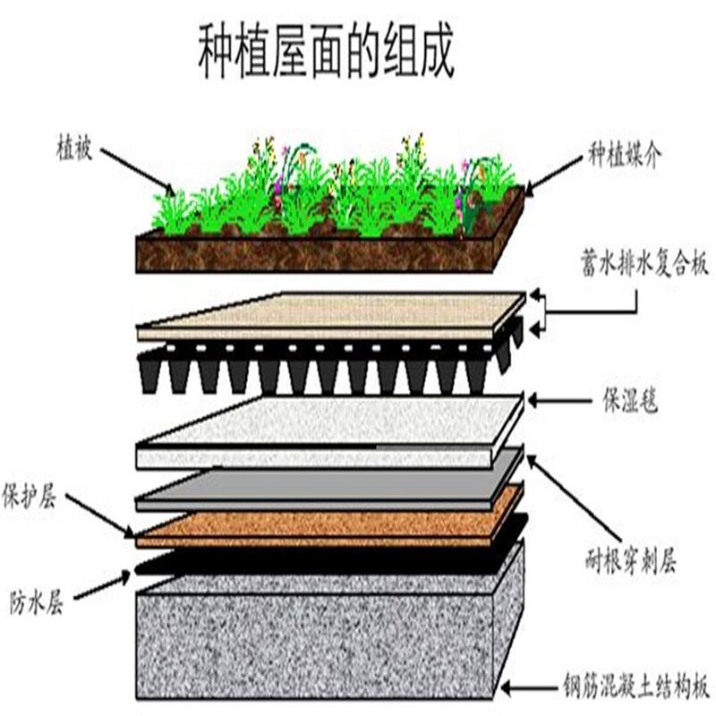 加工定制-山南地區(qū)20高蓄排水板價格]@（山南地區(qū)集團(tuán)）—?dú)g迎您