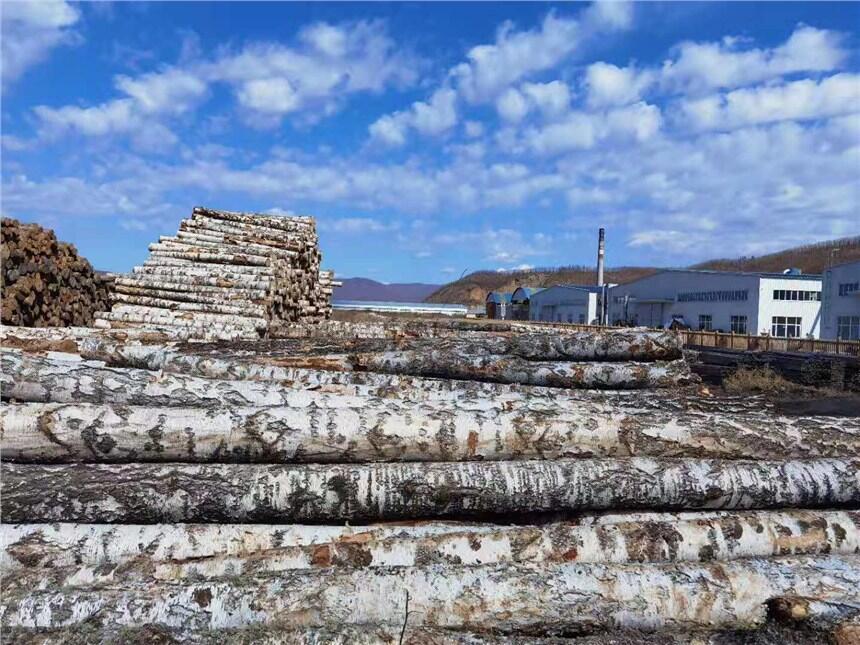 運(yùn)動木地板籃球館乒乓球木地板體育實(shí)木地板