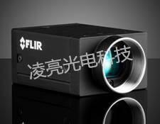 FLIR Grasshopper?3  GS3-U3-89S6C/M-C