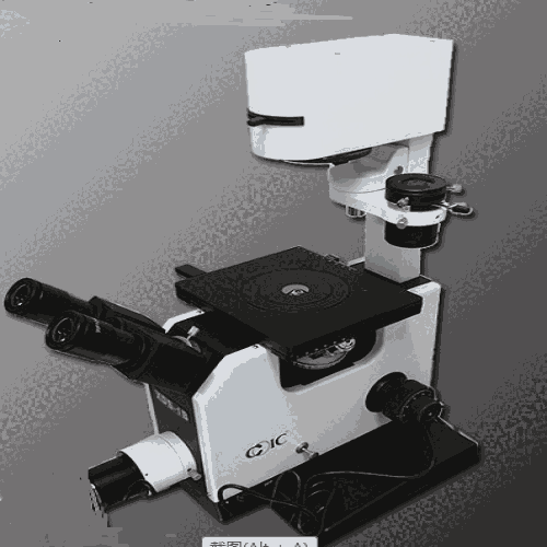 上海倒置生物顯微鏡XDS-1B