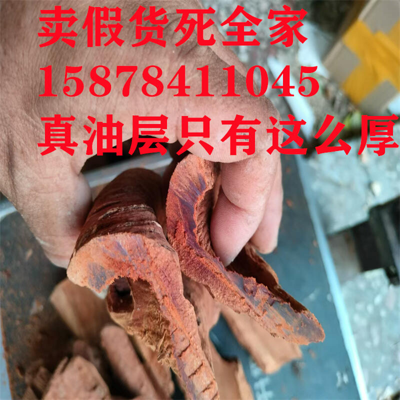 天津南開區(qū)紫油桂特厚肉桂