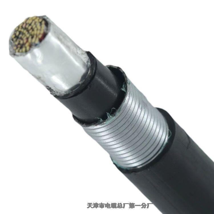 100對通信電纜HYA53 100*2*0.5MM