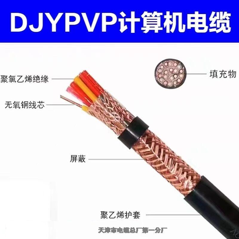 通訊電纜ZR-DJYVPR32 2*2*1.0