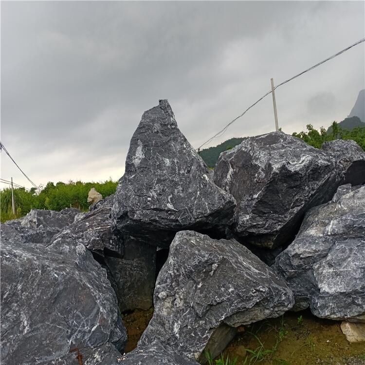 景觀假山園林石 庭院設計風景石 黑山石別墅草坪綠化石