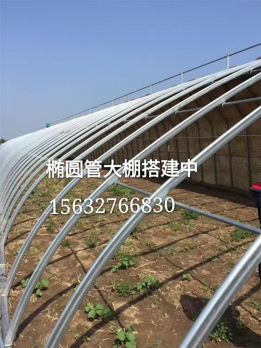 新型幾字鋼大棚骨架建造方式靈活使用壽命長(zhǎng)是大棚骨架精品