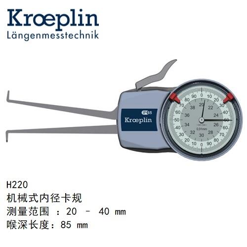 H220德國古沃匹林kroeplin內(nèi)卡規(guī)H220