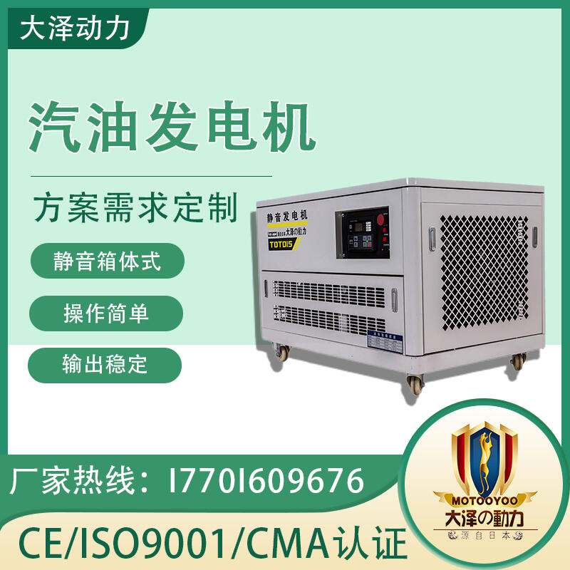 實(shí)驗(yàn)室用 大澤動力 TOTO10 10000W 汽油發(fā)電機(jī)