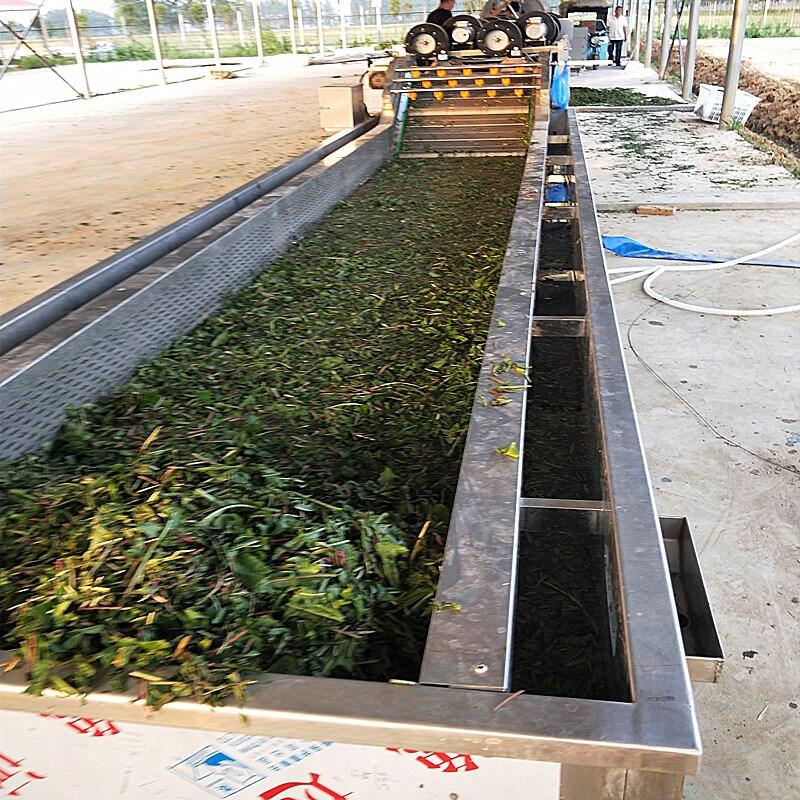 大型山竹清洗機 高壓氣泡果蔬清洗機廠家