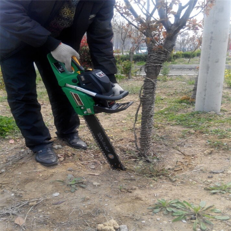 包頭 鋸齒式挖樹機(jī)  高效率鏈條起球機(jī)