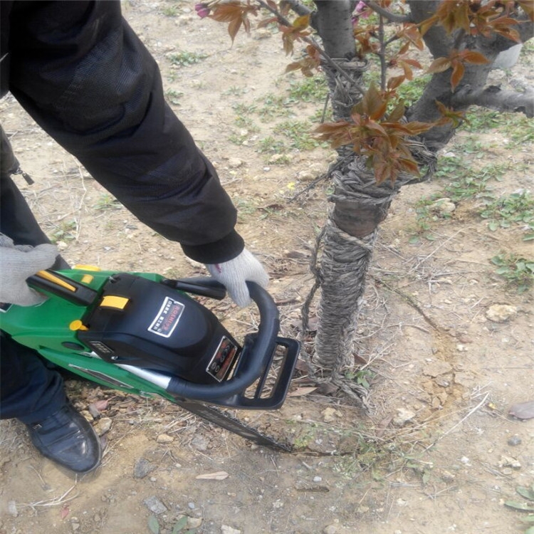 淄博 批發(fā)鏈條挖樹機  汽油起樹機