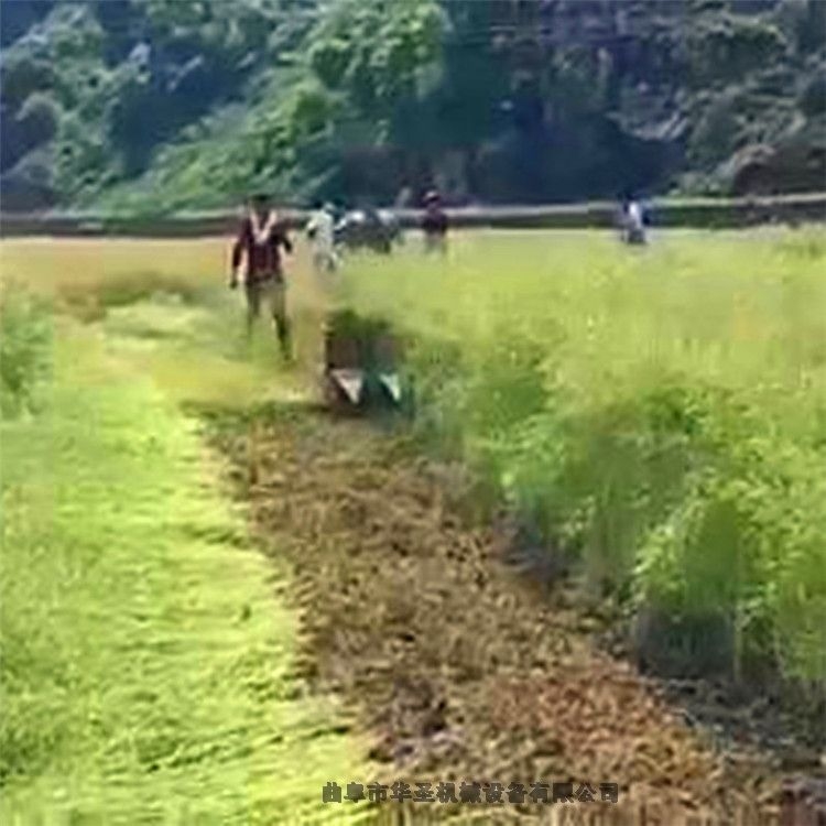 能收割 大豆 苜蓿草 牧草辣椒的收割機(jī) 小型柴油收割