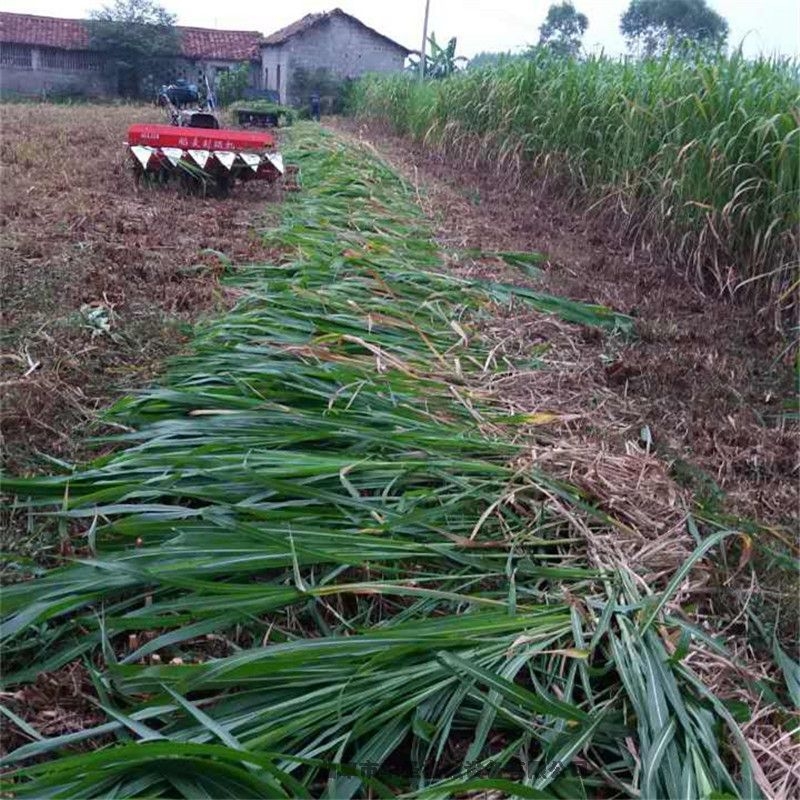 農(nóng)業(yè)種植秸稈收割機手扶專用割臺湖北的收割機廠家 便捷