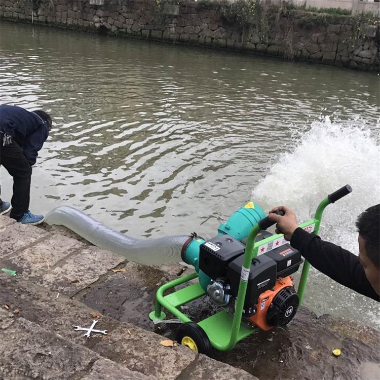 城市排污移動(dòng)小泵車宿遷農(nóng)業(yè)灌溉用柴油水泵