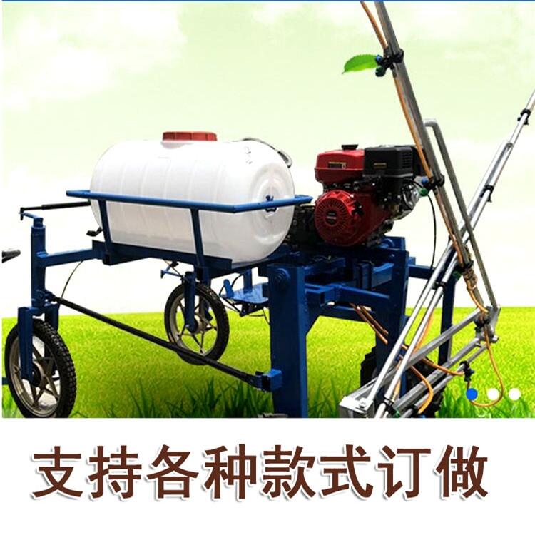 四輪打藥機(jī) 玉米四輪打藥機(jī) 小麥噴藥機(jī)