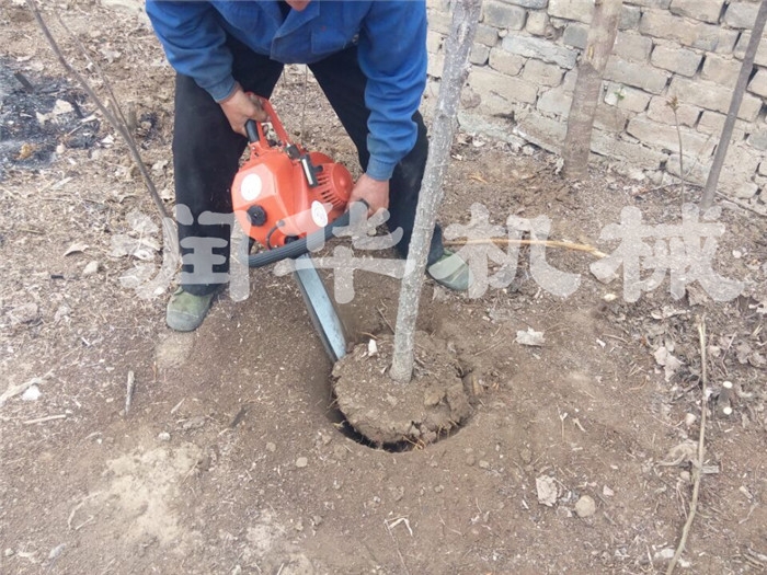 幼樹苗移植  切根帶土挖樹機 綠化樹木挖樹機