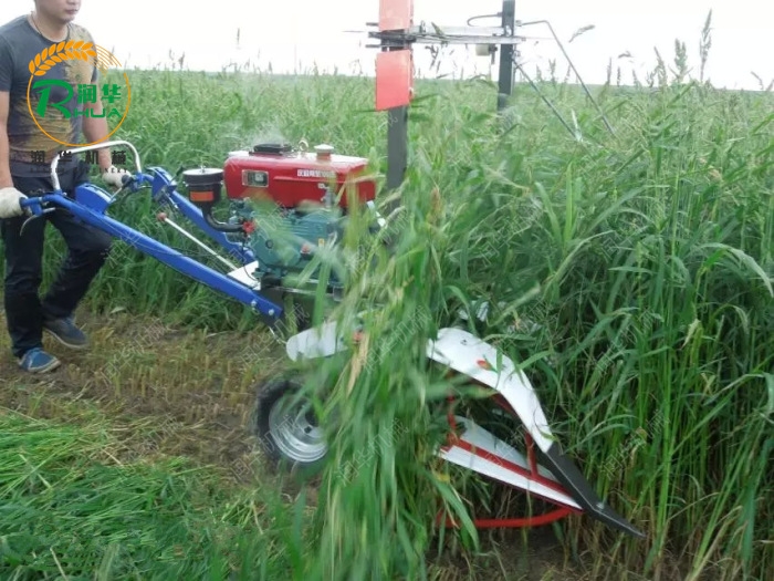 農用艾草收割機 玉米秸稈割曬機 手推割曬機圖片