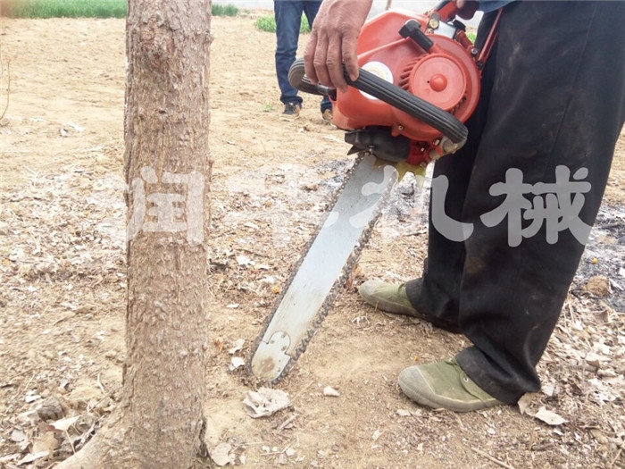 不傷根系起樹機 斷樹根移樹機 圓土坨起樹機