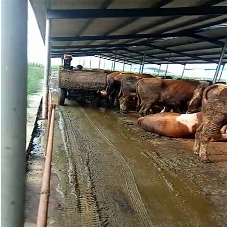 自卸式清糞車 自動卸車清糞車 18馬力柴油清糞車