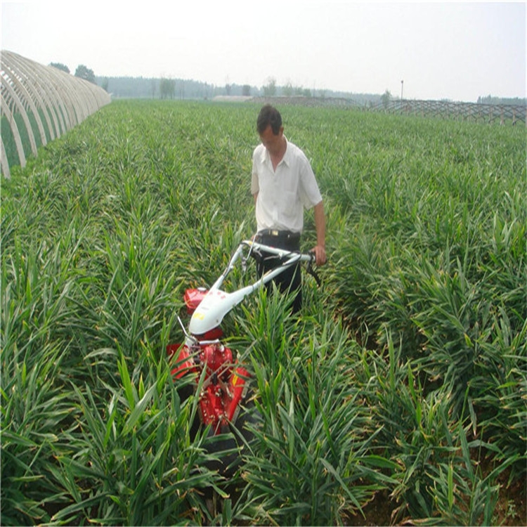 新聞:新沂除草旋耕機(jī)聯(lián)系地址