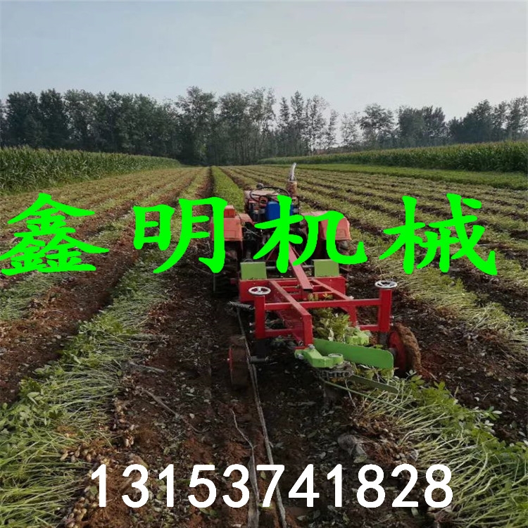 手扶雙向斜鏟花生挖掘機(jī)   銅仁秋收專用花生收獲機(jī)