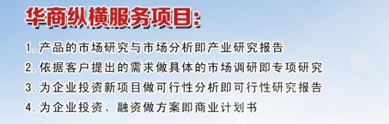 高蛋白人造肉報(bào)告-高蛋白人造肉市場(chǎng)盈利模式分析