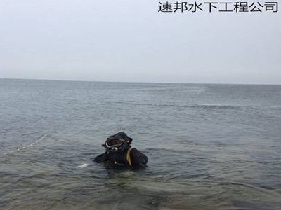 涼山彝族自治州鹽源縣污水池水下維修更換-考慮周全