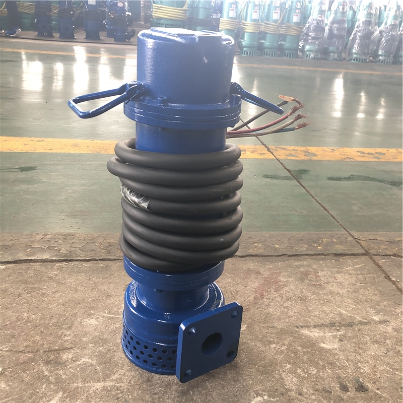 河南洛陽(yáng)熱電廠用防爆潛水泵WQB30-30-5.5kw口徑65