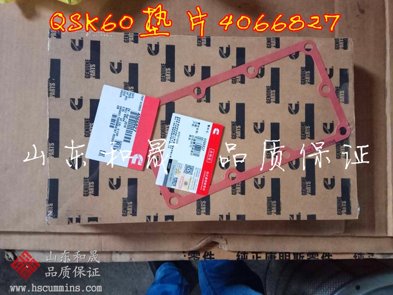 美國康明斯QSK45燃油泵墊片3348583