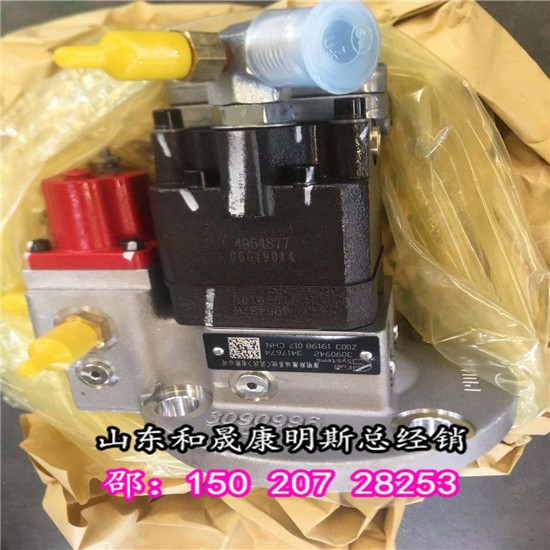 特雷克斯TR35A電噴PT泵3417674