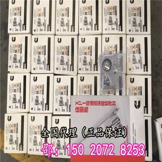 北京歐曼5473013EF閥座修理包ISG發(fā)動機(jī)