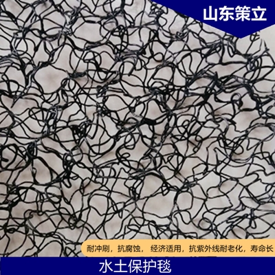 水工保護(hù)毯、立體植草網(wǎng)、三維植被網(wǎng)，三維水土保持毯，抗侵蝕毯/墊