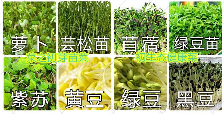 香椿苗出現(xiàn)病癥時(shí)該怎樣去處理