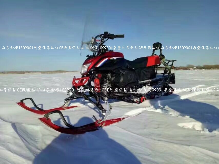 柴門聞犬吠風(fēng)雪夜歸人供應(yīng)兒童雪地摩托車 小型雪地摩托車 雪地摩托車廠家