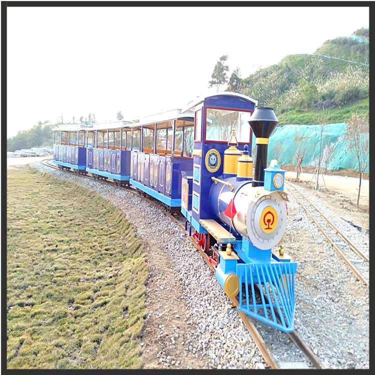 建設(shè)周期短景區(qū)游樂小火車網(wǎng)紅打卡設(shè)備批發(fā)