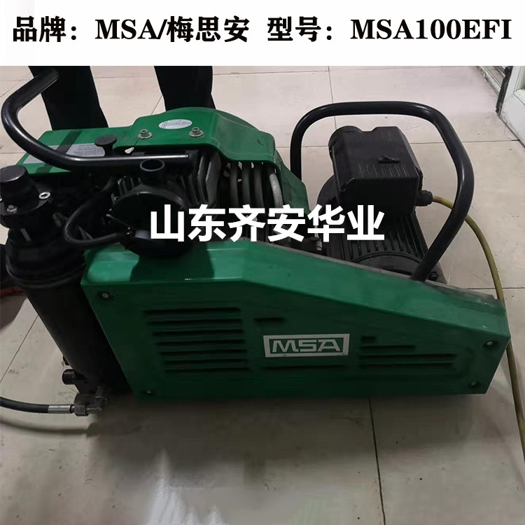 MSA100EFI梅思安消防/潛水呼吸器充氣泵9960027保養(yǎng)配件