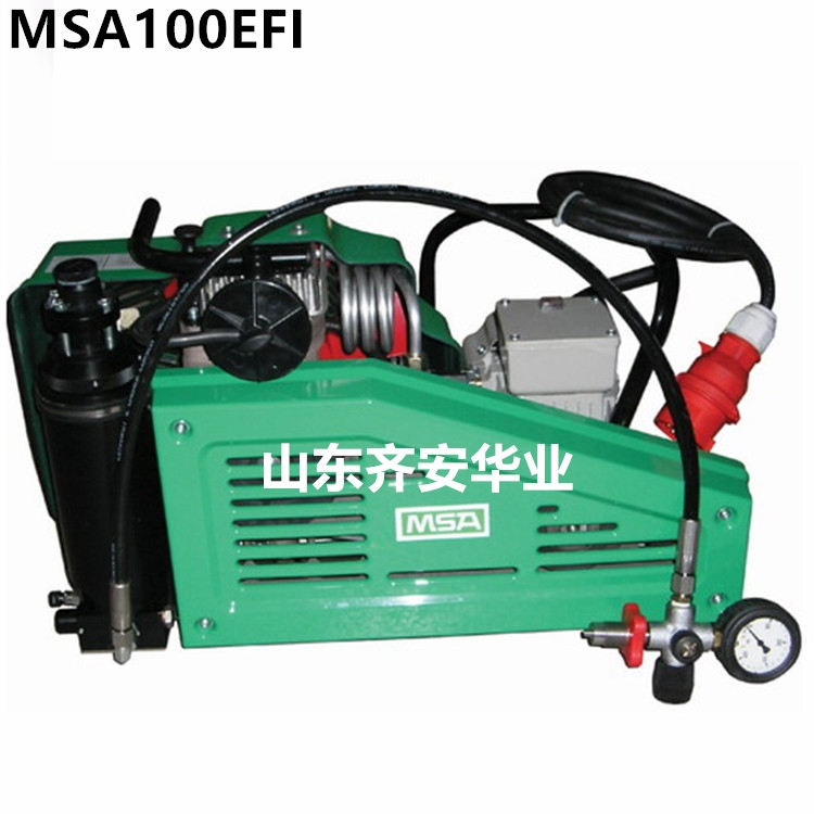 美國梅思安MSA100EFI（9960027）進口空氣壓縮機濾芯 機油