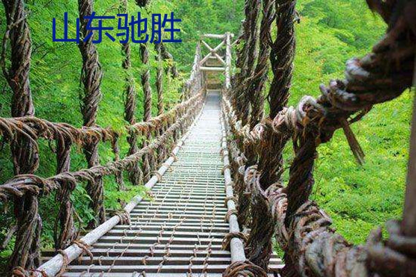 山東馳勝戶外水上拓展設(shè)備項(xiàng)目器材 水上吊橋廠家鐵鏈橋吊橋