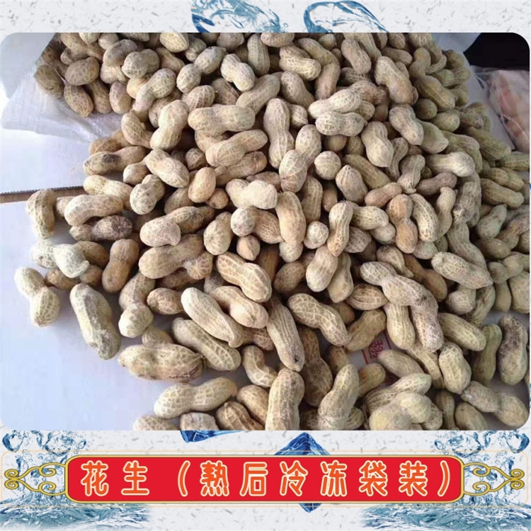 速凍花生_熟后冷凍30KG*1大包裝_有路食品_山東生產(chǎn)廠家直銷