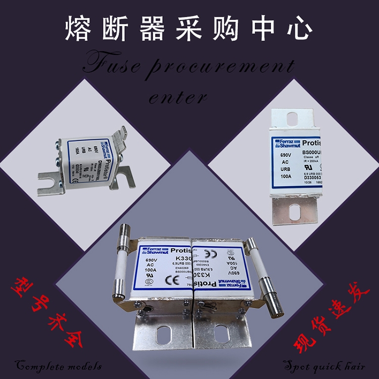 全新原裝巴斯曼快速熔斷器170M3010 170M3011 170M3012現(xiàn)貨