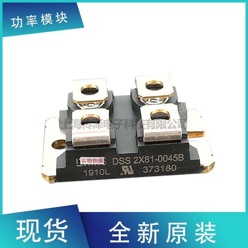 德國(guó)艾賽斯二極管模塊DSS2X81-0045B DSS2X61-01A現(xiàn)貨直銷(xiāo)