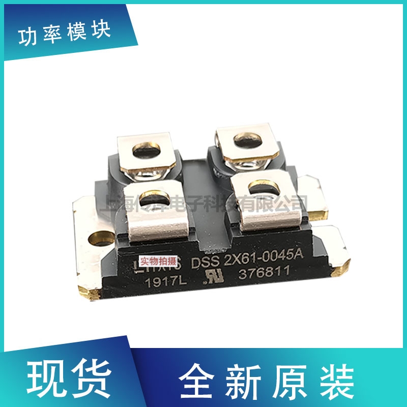 德國艾賽斯二極管模塊DSS2X61-0045A DSS2X41-01A現(xiàn)貨直銷