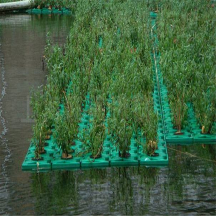 五原縣水生植物種植花盆水面浮島每套多少錢