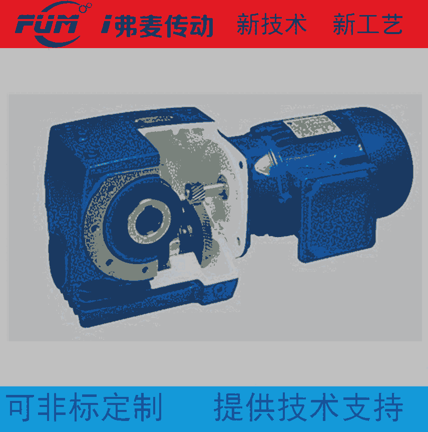 雙螺旋輸送機(jī)專(zhuān)用減速機(jī)