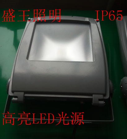 LED投光燈NL202 50W