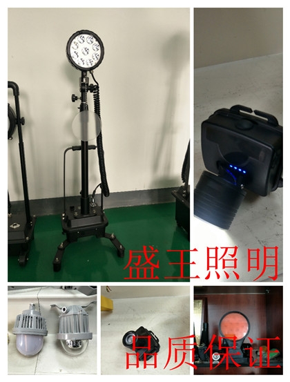 帶屏攝像防爆手電筒TMN1602 TMN1602