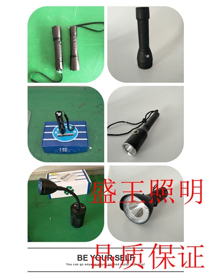 帶屏攝像防爆手電筒RW5150