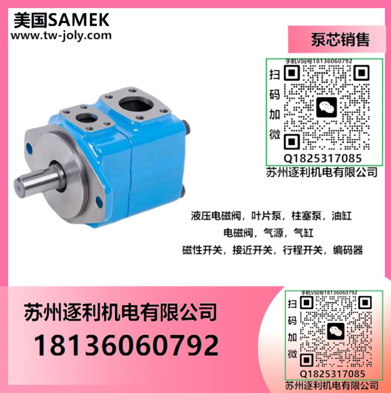 SAMEK泵芯注塑機(jī)/成型機(jī)/打包機(jī)/壓鑄機(jī)葉片泵3525V  35A/38A/45A